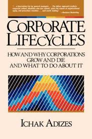 Corporate Lifecycles